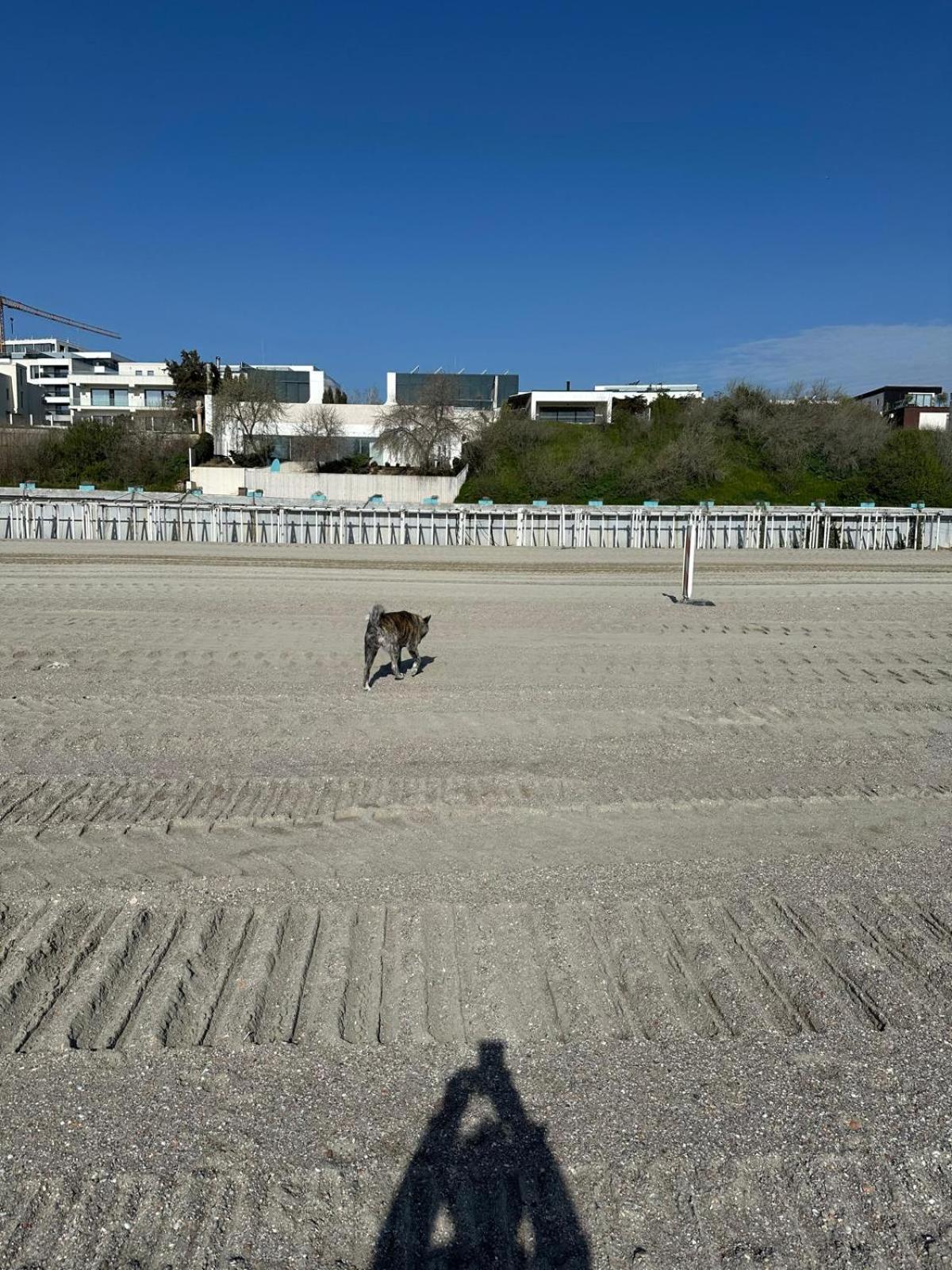 אולימפ Aky&Suki Sea View Apartments מראה חיצוני תמונה